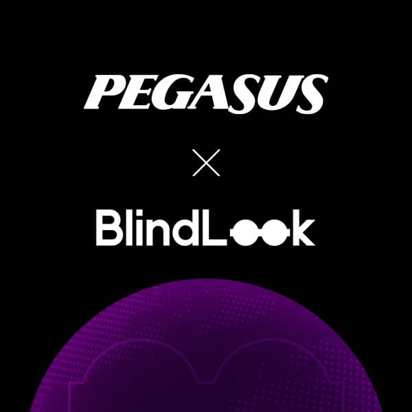 https://api2.blindlook.com/webpage/1704710325696-Pegasus%20.webp